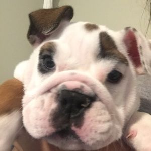 Meet your Posher, Jzabel